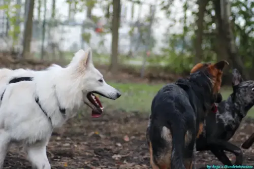 WhatsApp Bild 2023-10-23 um 10.58.02_eae02397