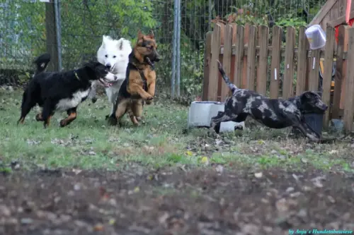 WhatsApp Bild 2023-10-23 um 10.58.02_fcab04c9