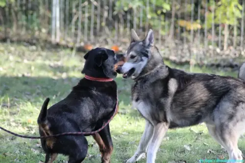 WhatsApp Bild 2023-10-23 um 10.58.03_f5165351