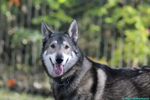 WhatsApp Bild 2023-10-23 um 10.58.04_b22ac6b3