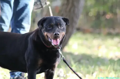 WhatsApp Bild 2023-10-23 um 10.58.05_8aa1e6a6