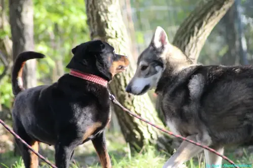 WhatsApp Bild 2023-10-23 um 10.58.06_d0f17901