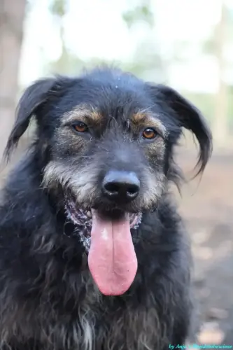 WhatsApp Bild 2023-10-23 um 10.58.08_b333602f