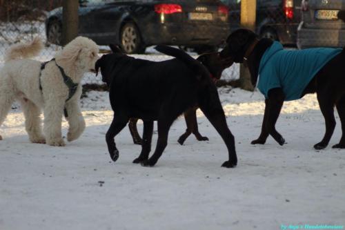 a1a95b1e-f9e6-4046-b80d-0cc70eab8b2c