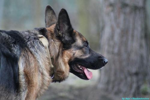 a26d7ddb-599f-48e9-a04d-0c6eb5f733c9