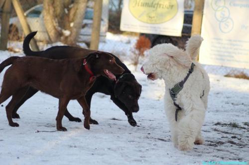 a4a9c21c-b353-409e-88a9-b3ef7ef19433