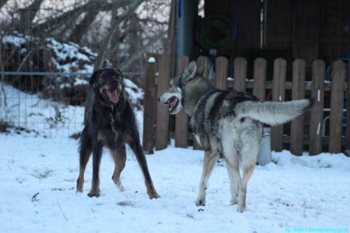 a68748cc-b511-48c0-b6a1-9d703a974e76