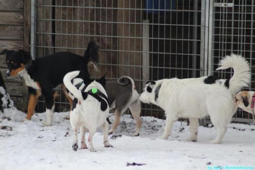 a7dcb021-e9ae-4ed1-ae4c-0dc01a35225c