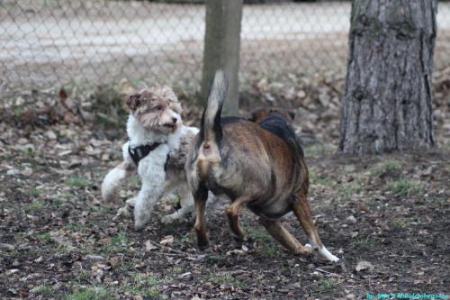 a91efc39-ec73-4c6d-a9cc-71ab07dd2b25