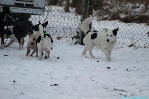 aa3b93e7-ac9d-4019-b13d-22bb712c9271