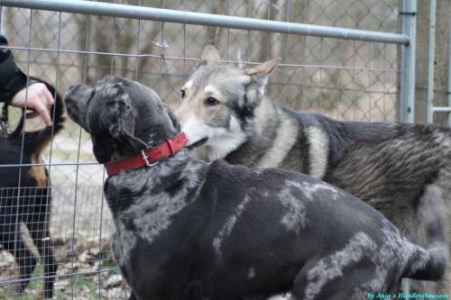 acf27dc6-772a-4121-a5c8-359be1c56b5a