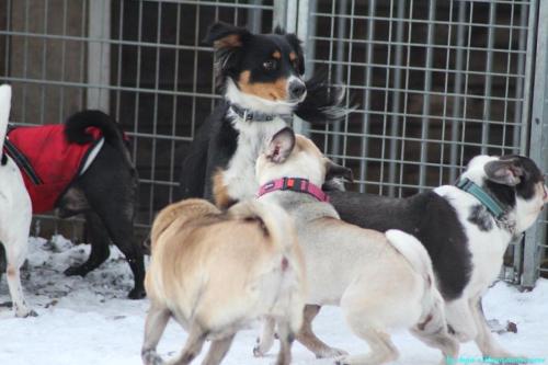 ad287403-bdd2-42f0-994b-e20edc56e1a0