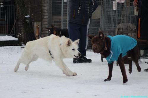 ad59948a-4ae2-4085-8bd7-0444bd84040c