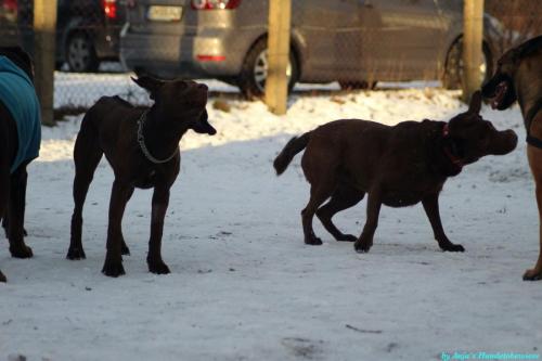 ada43247-d58e-4bea-a82f-e73ac6e3d179