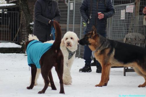 b04bb5bd-6ba0-43b4-9ae3-5493f44f8ad7