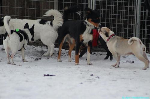 b4740e1d-1ef3-4812-ba8b-13c8a415d255