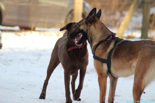 b4f1bc53-cb3e-418d-a634-ca5129cb885a