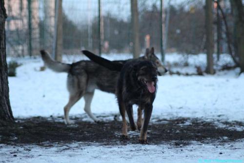 b670dee4-5e71-453f-8c5a-7a75403f0d8c