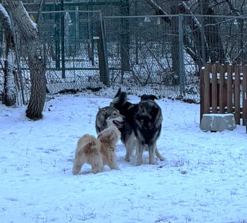 bbd210e9-9a85-49df-9e8b-09282ec917a3