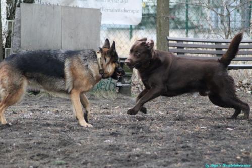 bd6f150c-1d07-4712-a050-d06775bdffe2