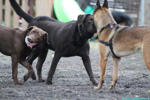 c0f5c839-3d31-4a85-b9bf-a0cbc751b07e