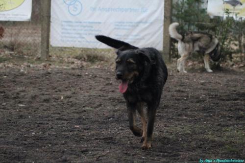 c4f16145-e541-4d7b-bbbf-56f763fe43c3