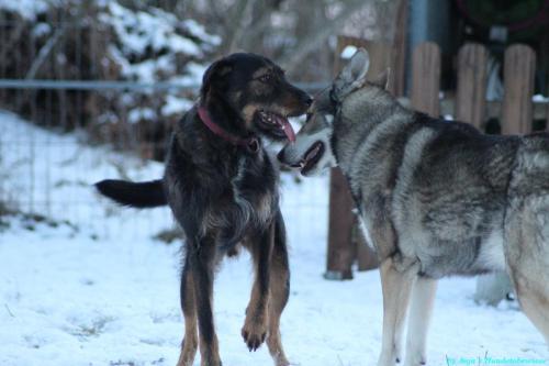 c655d768-aabb-42a7-971b-fec53bff8a66