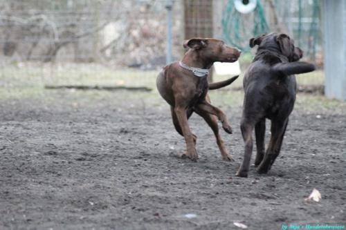 c68d22fb-6d8a-4d12-be90-6d593d064589