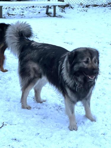 cb078ee8-fd5a-4bdd-b279-c4f316873d8b