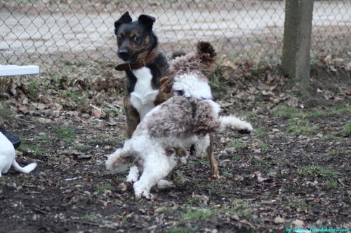 cb4b4814-b866-4345-acb5-e1c58e6f5967