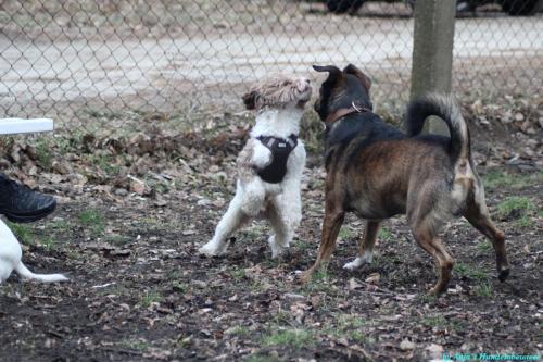 cb523e0a-6431-4c1a-9960-69b903bef48e