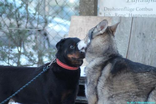 cbdf099a-0277-45e2-9c65-9e22f756f71f