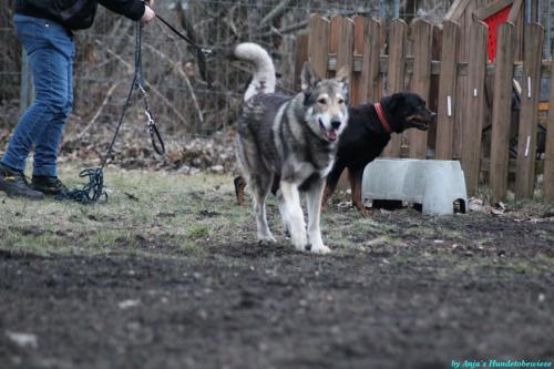 cc2b3dad-0e2d-4e7f-8a71-dadca75af786