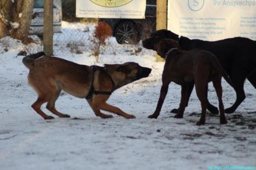 ce2b38f1-3ad9-4656-acf3-29bb36ada370