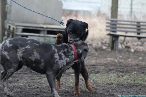 d3ac5cdf-6393-405e-a031-358006398bba