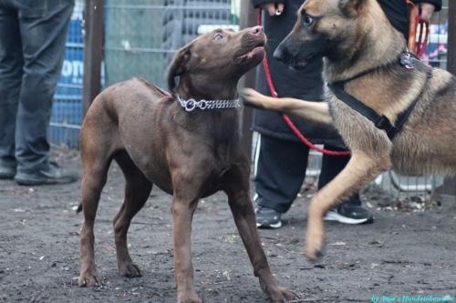 d51517d5-f6e6-4b5d-86c8-8e4b0563cdd3