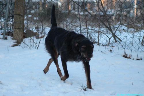 d5659e70-cacc-45bb-aad1-09703573e33d