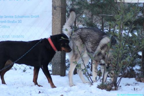 d6fbe358-0547-46ef-95df-33de95931a66