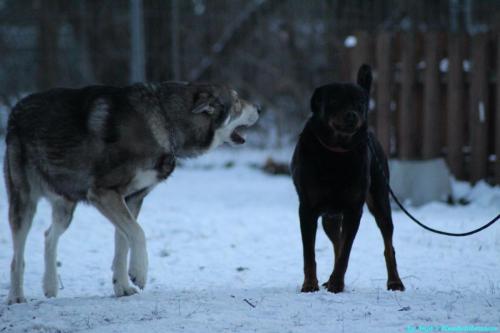 d74a0403-3c5a-4d91-a45a-bce13495965c