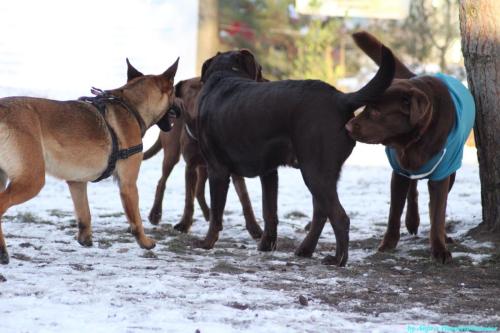 d8e4ed92-5aa5-46fc-85cf-18c1887421a3