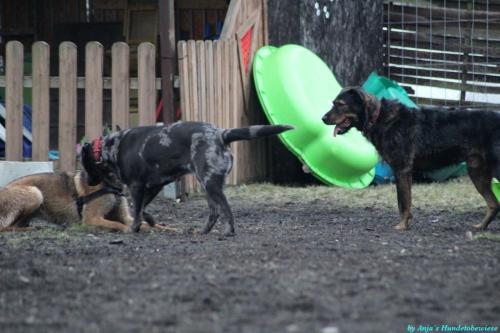 dbd4247e-6511-42d8-9a03-427e2777686f