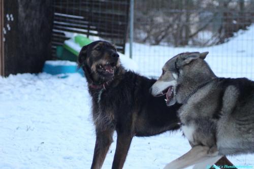 dc636bfb-0165-4631-9c6b-0ac9827ebf8a