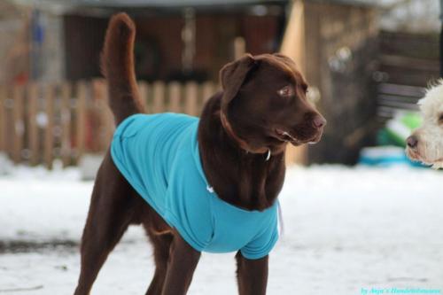 dd2c1eab-61cb-4d20-9317-684cca215a1e