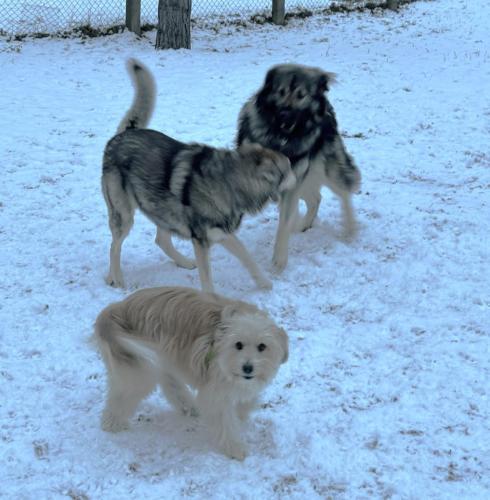 df92619f-9ee8-465c-a283-00d02d39b092