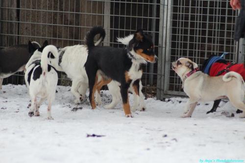 e6c366b9-e464-4516-be77-9c05502cceaf