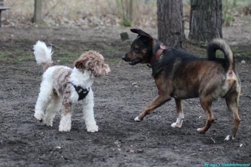 e7aa63c5-673c-4b24-a0b2-44fe9531b7ae