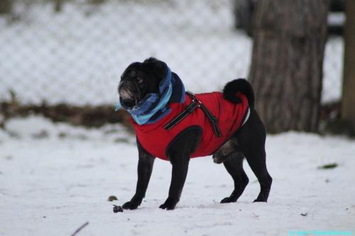 e7ffa490-9d36-4889-8f2c-facd2ee530b3