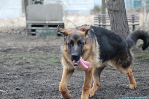 ea334c72-d7a5-49bd-9c65-8b678e57e2ec