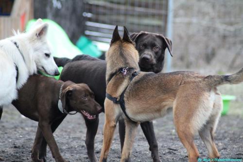 ed17a173-be29-4218-8df9-058e49614c7a