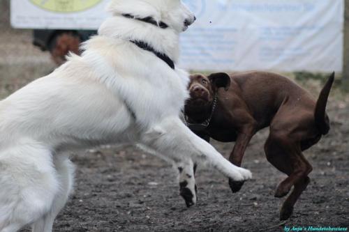 ef5ebad6-f55e-401d-a23d-bd58740676e5